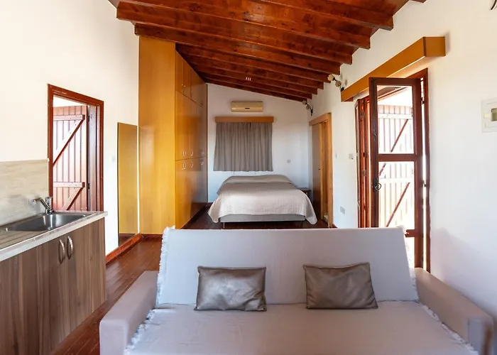 Steni Traditional Paphos