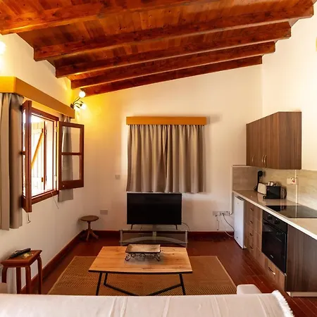 Apartment Steni Traditional